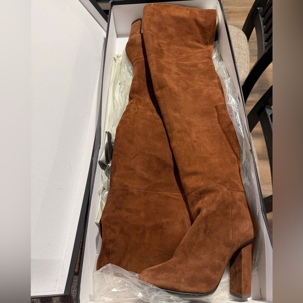 Giuseppe Zanotti Thigh High Suede Boots
